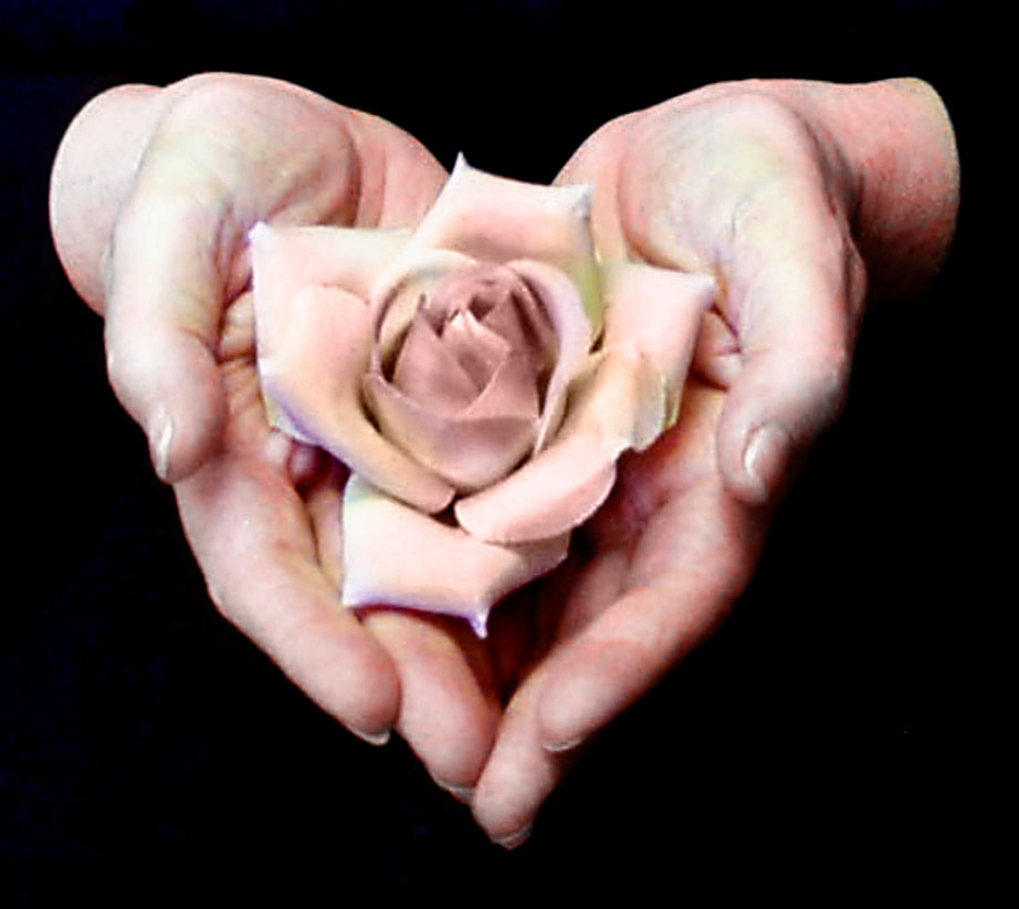 hands-heart-rose